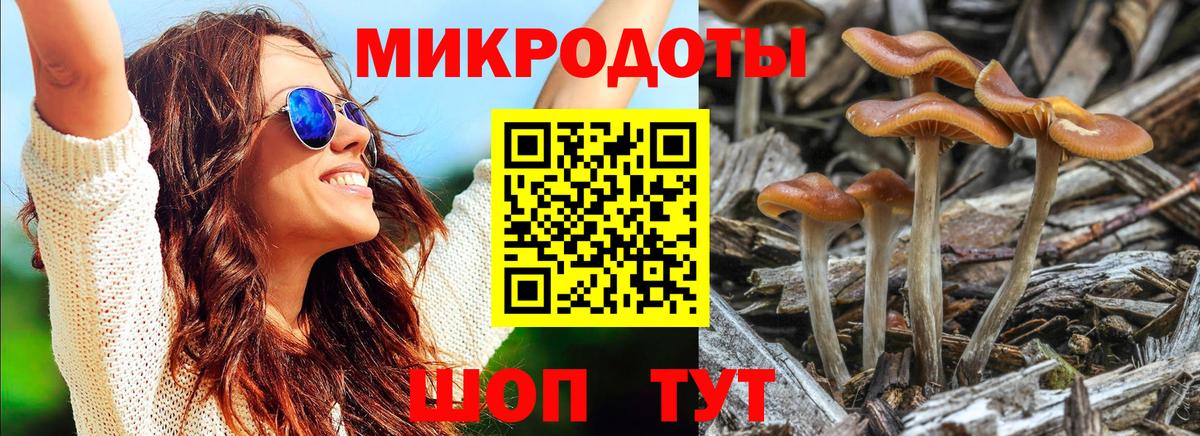 Псилоцибиновые грибы GOLDEN TEACHER  Вход с VPN  Вышний Волочёк 
